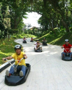 Feel the pulse of your destination through experiences that quicken the heart.